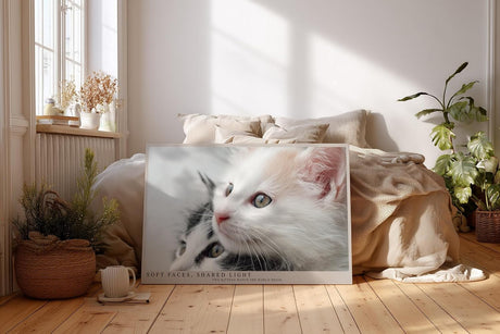 Paul Sinus Wandbild 120x80cm Soft Faces Shared Light zwei süße Kätzchen Tier Fotokunst Katzen Poster für Wohnzimmer Schlafzimmer Kinderzimmer