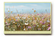 Paul Sinus Wandbild Song of the Wildflowers – Blühende Sommerwiese in sanftem Licht