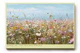 Paul Sinus Wandbild Song of the Wildflowers – Blühende Sommerwiese in sanftem Licht