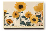 Paul Sinus Wandbild 120x80cm Sonnenblumen im warmen Sonnenlicht moderne florale Naturkunst