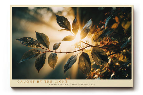Paul Sinus Wandbild 120x80cm Sonnenlicht durch Blaetter Natur Fotokunst warmes Licht botanisches Motiv gruen gold moderne Wanddekoration fuer Wohnzimmer Büro