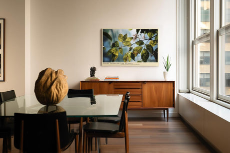 Paul Sinus Wandbild 120x80cm Sonnenlicht durch Blaetter Naturfotografie gruene Pflanzen moderne Naturkunst stilvolle Wanddekoration fuer Wohnzimmer Büro