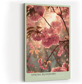 Paul Sinus Wandbild in 40x60cm Spring Blossoms – romantische Kirschblüten im sanften Frühlingslicht in zarter Farbgestaltung