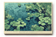 Paul Sinus Wandbild Still Waters of Hidden Depths Botanical Reflection in Aqua Serenity