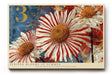 Paul Sinus Wandbild 120x80cm Striped Blooms of Summer moderne Blumen Kunst rote und weiße Blüten Poster für Wohnzimmer Schlafzimmer