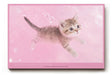 Paul Sinus Wandbild 120x80cm süßes Kätzchen rosa Hintergrund niedliche Katze Tiermotiv Pastellfarben modernes Tierbild dekorative Wanddekoration für Kinderzimmer Wohnzimmer Schlafzimmer