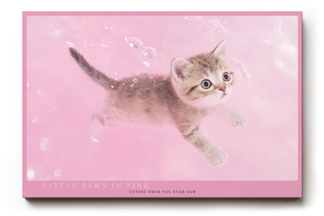 Paul Sinus Wandbild 120x80cm süßes Kätzchen rosa Hintergrund niedliche Katze Tiermotiv Pastellfarben modernes Tierbild dekorative Wanddekoration für Kinderzimmer Wohnzimmer Schlafzimmer