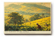 Paul Sinus Wandbild 120x80cm Teeernte in Sri Lanka – Weite Landschaft mit Plantagen und traditioneller Arbeit