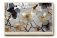 Paul Sinus Wandbild The Beauty of Blossoms – filigrane Blüten in zarten Weiß- und Blautönen symbolisieren Reinheit und Vergänglichkeit