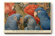 Paul Sinus Wandbild The Beauty of Colorful Parrots Nature’s Elegance in Blue and Green