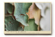 Paul Sinus Wandbild The Beauty of Decay – Ästhetik des Verfalls in Farbe und Struktur