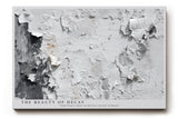Paul Sinus Wandbild The Beauty of Decay Poetic Elegance in Time’s Texture