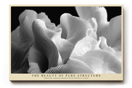 Paul Sinus Wandbild The Beauty of Pure Structure – Ästhetik organischer Formen in perfekter Linienführung