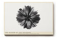 Paul Sinus Wandbild The Bloom of Ink Shadows – Abstrakte Darstellung einer Blüte aus schwarzen Tintenverläufen, Symbol für Ausdruckskraft und künstlerische Freiheit