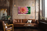 Paul Sinus Wandbild The Bloom of Pure Beauty – Zarte Blüte im Glanz des Morgentaus