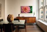 Paul Sinus Wandbild The Bloom of Pure Beauty – Zarte Blüte im Glanz des Morgentaus