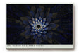 Paul Sinus Wandbild The Bloom of Starry Night – Leuchtende Blüte im Sternenmeer – Mystisches Wandbild mit Tiefe, Glanz und kosmischer Symbolik.
