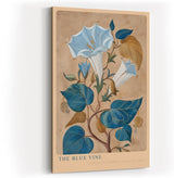 Paul Sinus Wandbild in 40x60cm The Blue Vine Botanische Illustration einer blauen Kletterpflanze mit feinen Blüten und Blättern