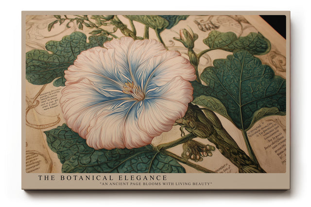 Paul Sinus Wandbild The Botanical Elegance – detailreiches botanisches Motiv einer Blüte mit kunstvoller Vintage-Anmutung und naturwissenschaftlichem Charme