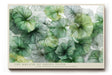 Paul Sinus Wandbild The Breath of Green Veins Botanical Elegance in Natural Harmony and Flow