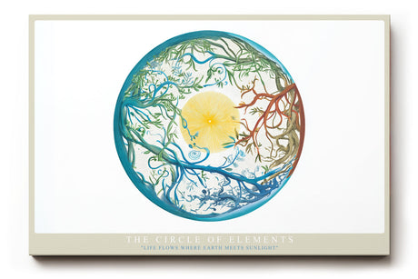 Paul Sinus Wandbild The Circle of Elements harmonisches Naturmotiv mit Sonne, Wasser und Ästen im Gleichgewicht der Elemente