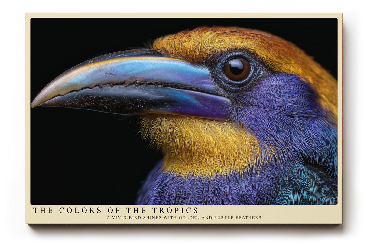 Paul Sinus Wandbild The Colors of the Tropics Ausdrucksstarkes Porträt eines tropischen Vogels mit leuchtend goldenen, violetten und blauen Federn.