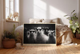 Paul Sinus Wandbild 120x80cm The Cool Wool Crew Lustige Schafe mit Sonnenbrillen Schwarz Weiss Tierkunst fuer Wohnzimmer Büro und Flur