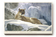 Paul Sinus Wandbild The Cougar of Frozen Peaks majestätisches Tiermotiv mit Puma in verschneiter Berglandschaft