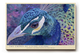 Paul Sinus Wandbild The Crown of Living Colors Peacock Elegance and Pride in Vibrant Detail