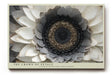Paul Sinus Wandbild The Crown of Petals – detailreiche Blüte in Grau- und Weißtönen symbolisiert Eleganz, Struktur und die Kraft der Natur