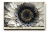 Paul Sinus Wandbild The Crown of Petals – detailreiche Blüte in Grau- und Weißtönen symbolisiert Eleganz, Struktur und die Kraft der Natur
