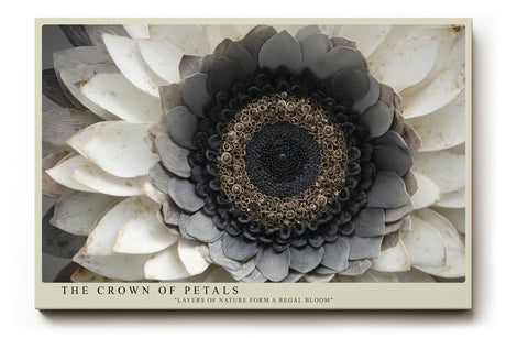 Paul Sinus Wandbild The Crown of Petals – detailreiche Blüte in Grau- und Weißtönen symbolisiert Eleganz, Struktur und die Kraft der Natur