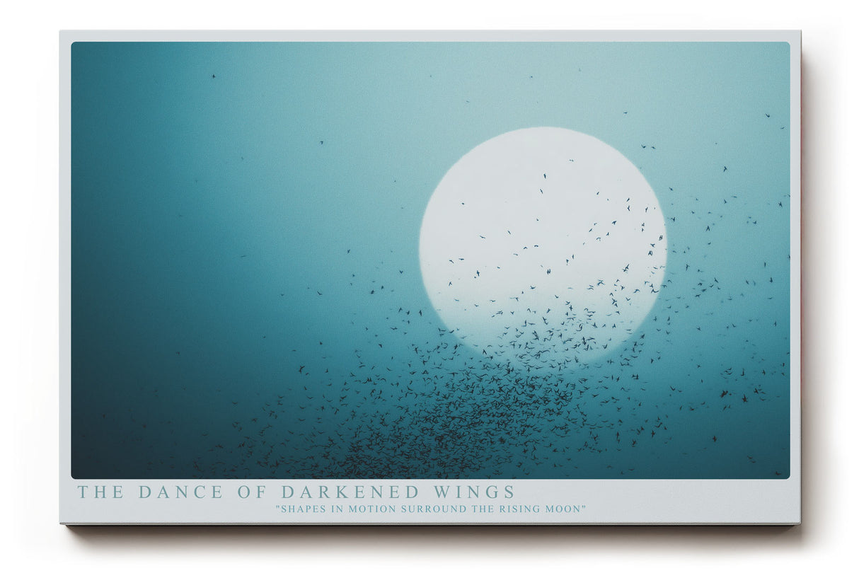 Paul Sinus Wandbild The Dance of Darkened Wings poetisches Naturmotiv mit Vogelschwarm vor dem Mond in Blau- und Grautönen