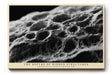 Paul Sinus Wandbild The Depths of Hidden Structures – Makroaufnahme einer organischen Oberfläche, Symbol für Zeit, Form und natürliche Schönheit