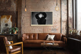 Paul Sinus Wandbild The Elegance of Black Style – Zeitlose Schönheit in Licht und Schatten