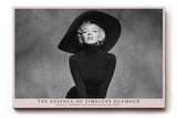 Paul Sinus Wandbild The Essence of Timeless Glamour Black and White Elegance and Style