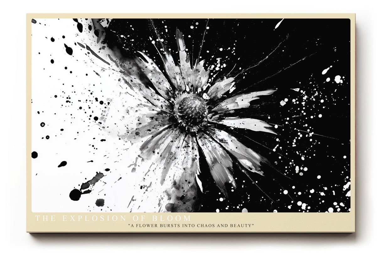 Paul Sinus Wandbild The Explosion of Bloom abstraktes Blumenmotiv in Schwarzweiß mit dynamischer Energie für moderne Räume voller Ausdruck und Kontrast