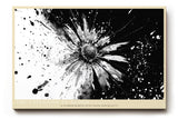 Paul Sinus Wandbild The Explosion of Bloom abstraktes Blumenmotiv in Schwarzweiß mit dynamischer Energie für moderne Räume voller Ausdruck und Kontrast