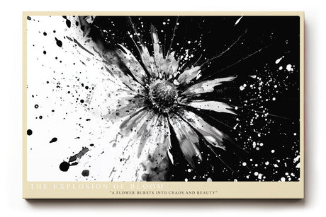Paul Sinus Wandbild The Explosion of Bloom abstraktes Blumenmotiv in Schwarzweiß mit dynamischer Energie für moderne Räume voller Ausdruck und Kontrast