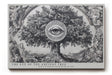 Paul Sinus Wandbild The Eye of the Ancient Tree Symbolic Wisdom in Roots and Time