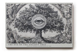 Paul Sinus Wandbild The Eye of the Ancient Tree Symbolic Wisdom in Roots and Time