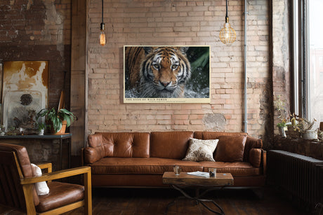 Paul Sinus Wandbild The Eyes of Wild Power Ausdrucksstarkes Porträt eines Tigers im Wasser – Symbol für Stärke, Mut und wilde Eleganz.