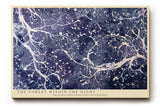 Paul Sinus Wandbild The Forest Within the Night Abstract Nature Roots and Stars in Blue Harmony