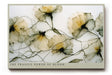 Paul Sinus Wandbild The Fragile Power of Bloom – zarte transparente Blüten in feinen Linien symbolisieren die Zerbrechlichkeit und Kraft des Lebens