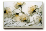 Paul Sinus Wandbild The Fragile Power of Bloom – zarte transparente Blüten in feinen Linien symbolisieren die Zerbrechlichkeit und Kraft des Lebens