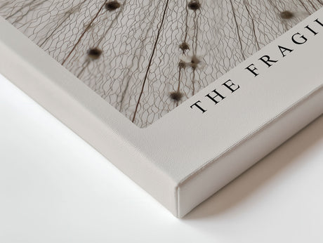 Paul Sinus Wandbild The Fragile Sphere – Filigrane Nahaufnahme einer Pusteblume, Symbol für Leichtigkeit und Vergänglichkeit in perfekter Balance