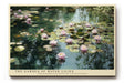 Paul Sinus Wandbild The Garden of Water Lilies malerisches Naturmotiv mit rosa Seerosen auf ruhigem Wasser