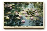 Paul Sinus Wandbild The Garden of Water Lilies malerisches Naturmotiv mit rosa Seerosen auf ruhigem Wasser