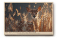Paul Sinus Wandbild The Gentle Soul of the Meadow – Zarte Natürlichkeit und stille Anmut in perfekter Harmonie