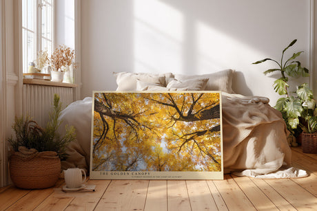 Paul Sinus Wandbild The Golden Canopy Autumn Forest in Light and Warm Harmony